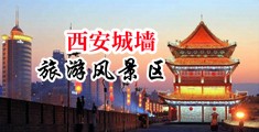 多毛性感老太婆性交中国陕西-西安城墙旅游风景区